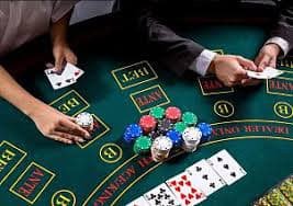 9080 bet vip 9080 bet vip